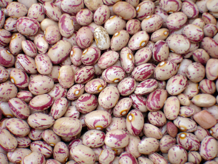 لوبیا چیتی یک کیلویی