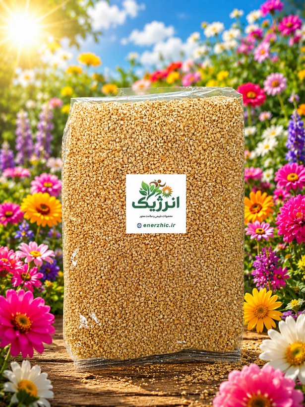 بلغورجو یک کیلویی