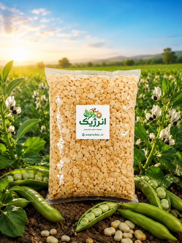 لپه باقالا یک کیلویی