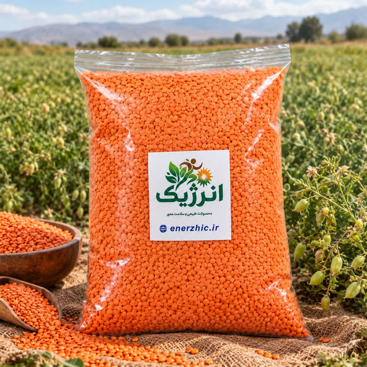 عدس قرمز ۱۰۰۰ گرمی