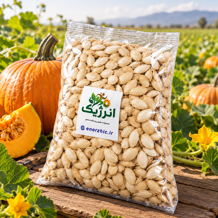 تخمه کدو گوشتی ۴۵۰ گرمی