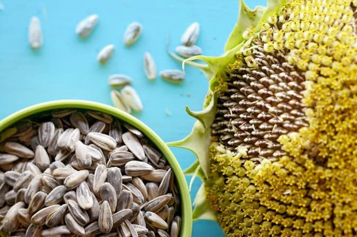 تخمه آفتابگردون 300 گرمی
