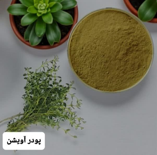 ادویه آویشن ساییده 110 گرمی
